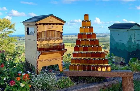Preserving Traditions: The Art of Madic Honey in the NE Region